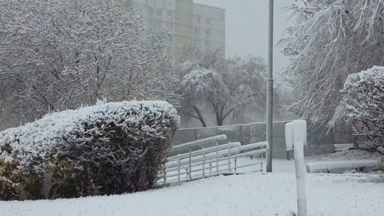 Апрельский снегопад обрушился на Москву и вернул зиму &mdash; видео