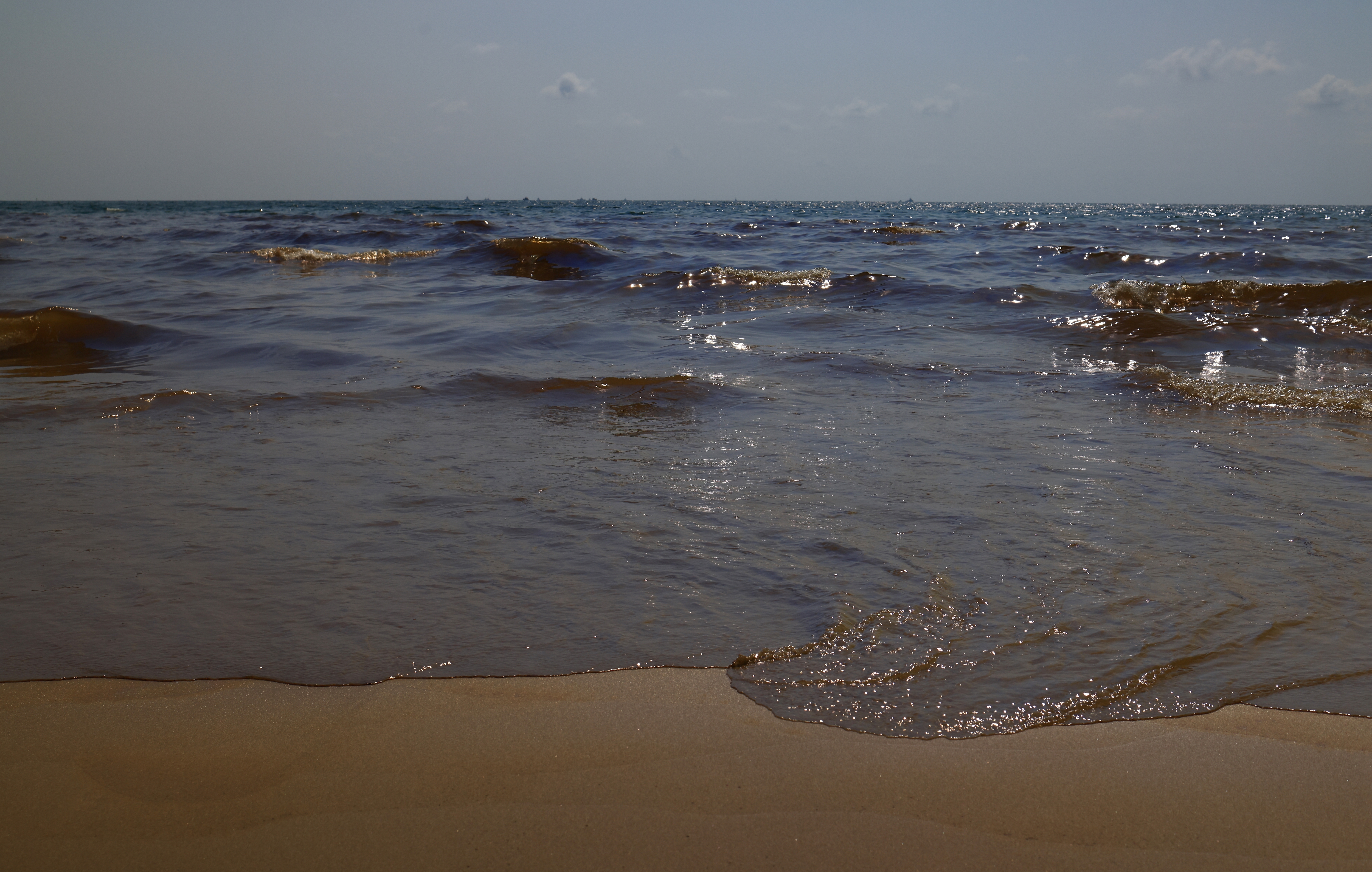 Тонны подсолнечного масла разлились в Чёрном море у Одессы