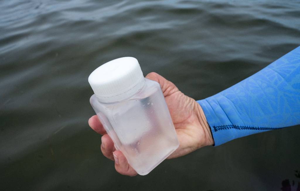 В Сочи начнут еженедельную проверку морской воды