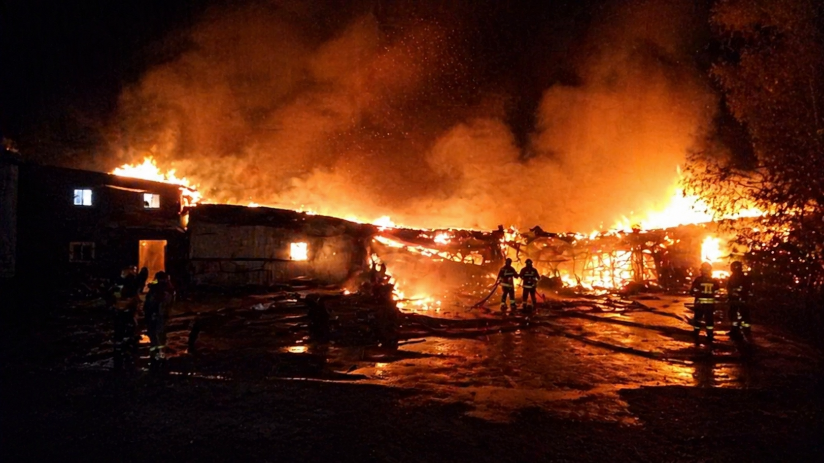 На ферме в Подмосковье произошёл пожар на площади 1 тыс. квадратных метров

