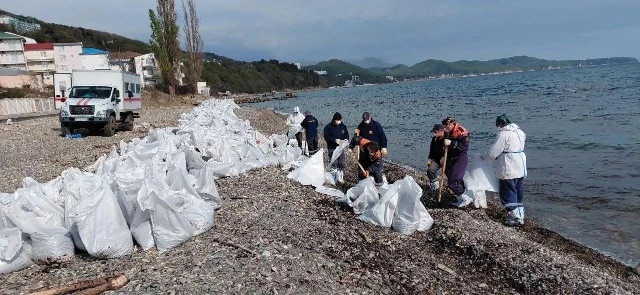 Новые выбросы мазута нашли в Туапсе после пожара