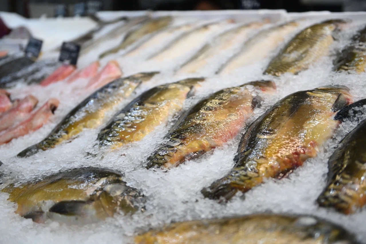 В России резко подешевела пикша &mdash; оптовая цена упала на 17,5% за год