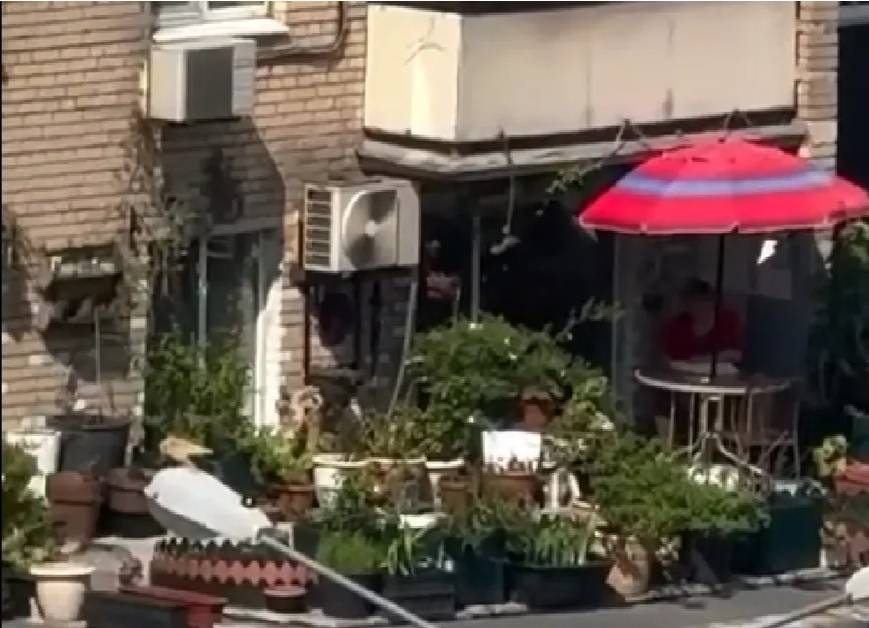 Дача за окном? Москвичка разбила сад на крыше и теперь рискует потерять квартиру