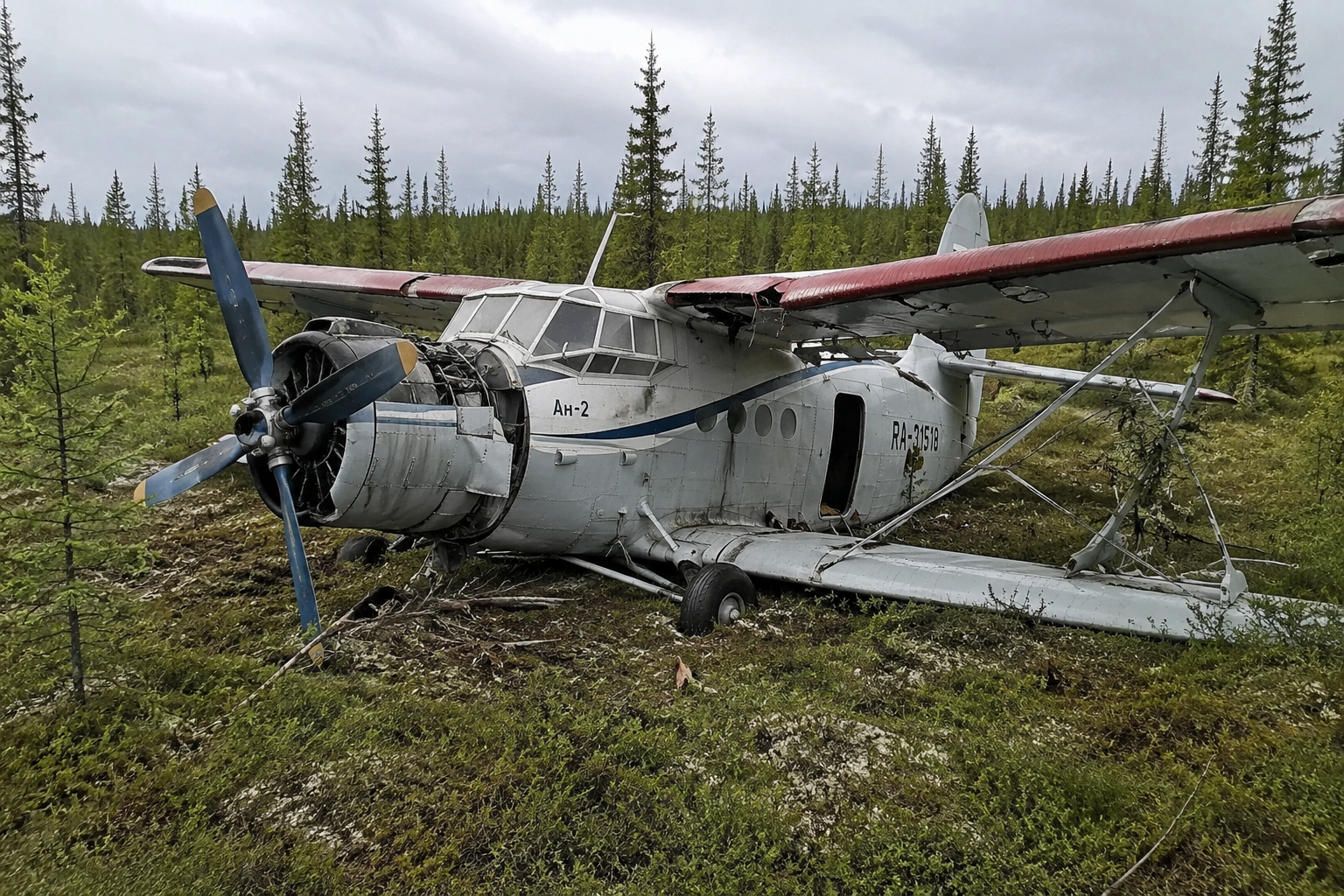 Ан-2 совершил аварийную посадку в лесу в Якутии из-за отказа двигателя