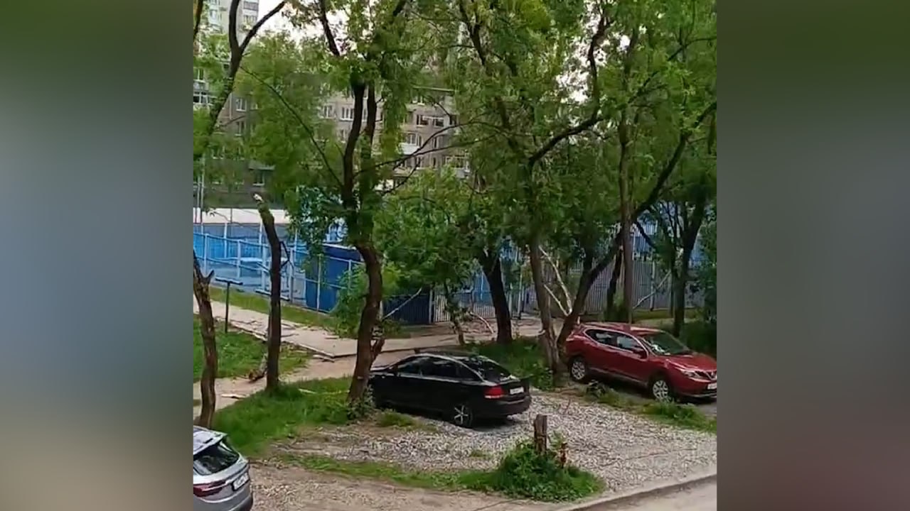 Поваленное ветром дерево насмерть задавило 17-летнюю девушку в Перми