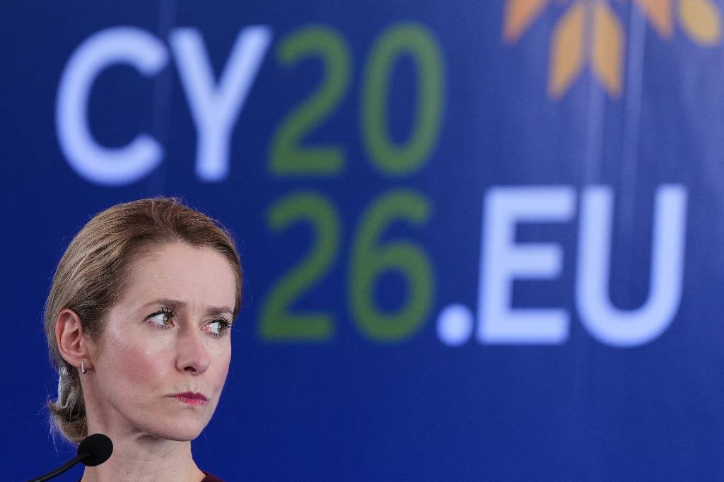 Константинов назвал абсурдом требование Каллас ограничить численность ВС РФ