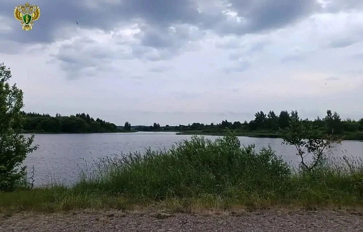 Уголовное дело возбудили после гибели двух сестёр в озере в Тульской области