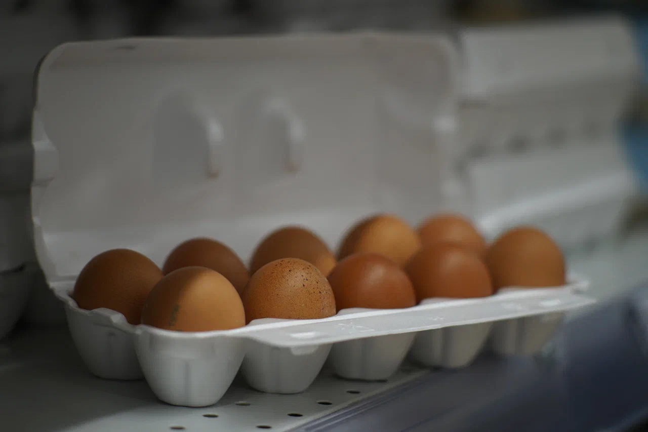 Яйца &laquo;к завтраку&raquo; оказались с сюрпризом: В продукции известной птицефабрики нашли антибиотики