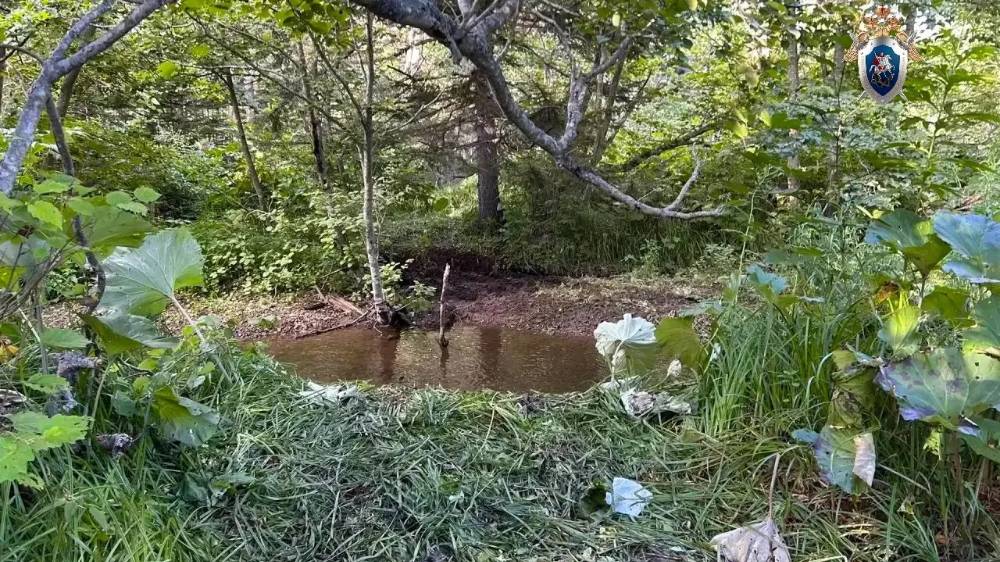 В лесу на Сахалине обнаружено тело 46-летнего мужчины, СК проводит проверку