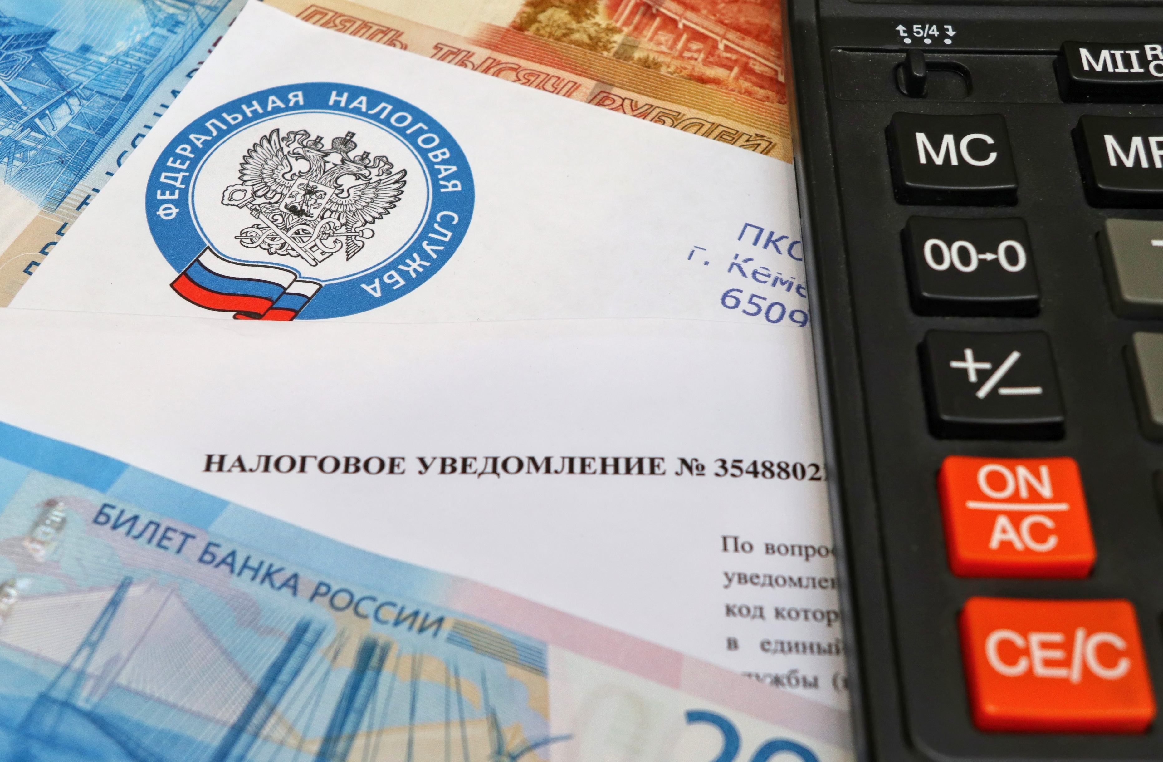 Фонды-однодневки под прицелом: Налоговики вычислили, как бизнес прячет прибыль