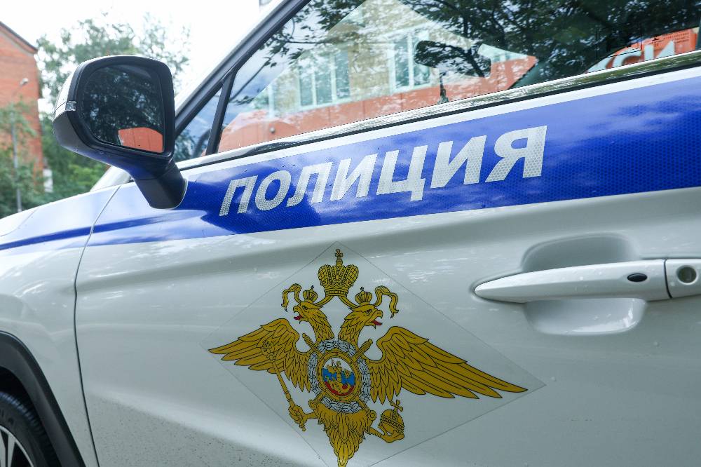 Момент поджога двух полицейских машин в Петербурге попал на видео