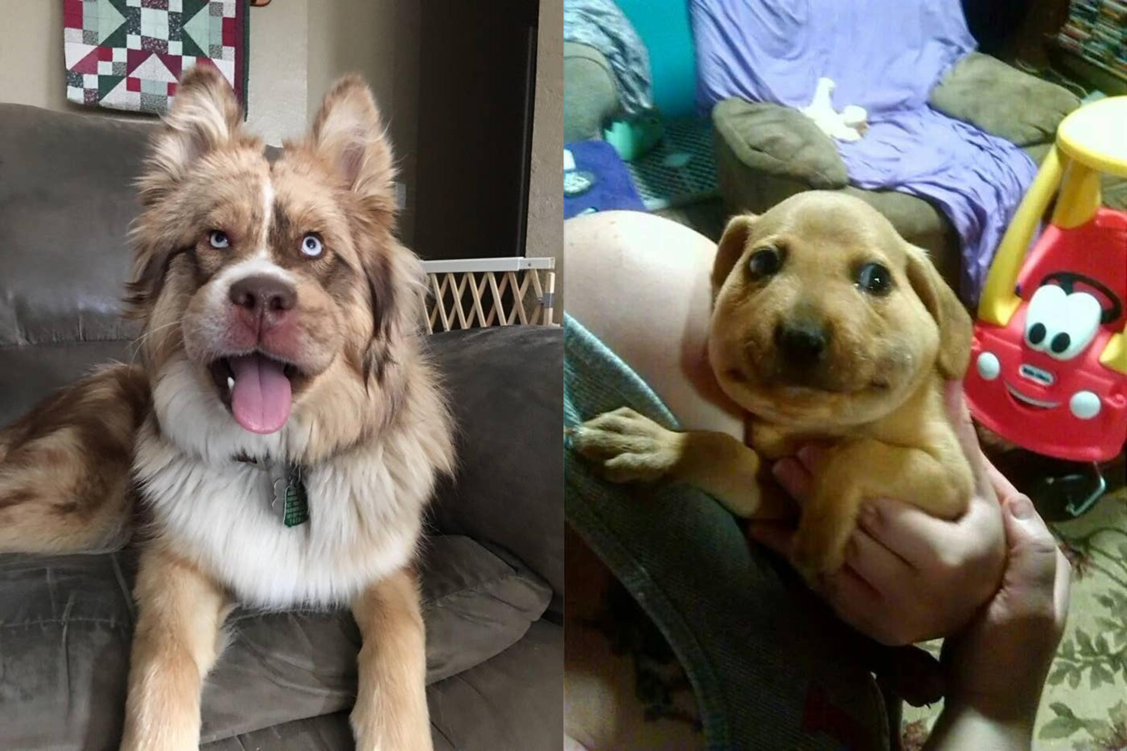 Фото © Reddit / skyline_kid