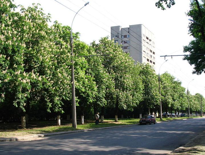 Проспект Жукова в Харькове. Фото © Wikimedia / Кащавцев Александр