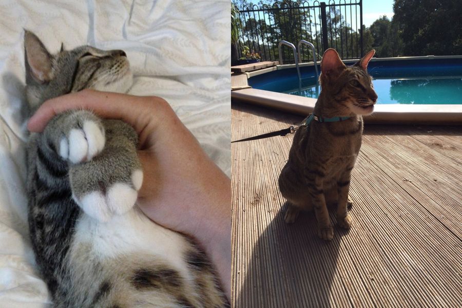 Фото © Reddit / frazdt