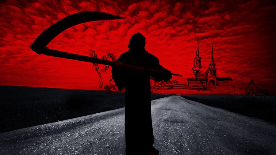 Коллаж LIFE. Фото © Shutterstock, Wikipedia