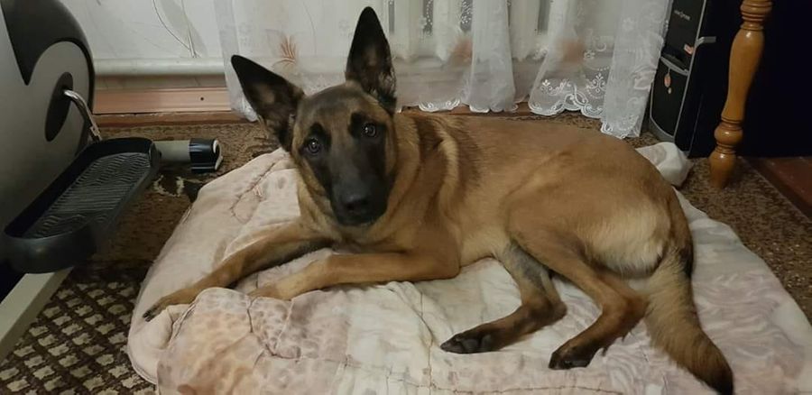 Фото © Facebook / ДСНС України