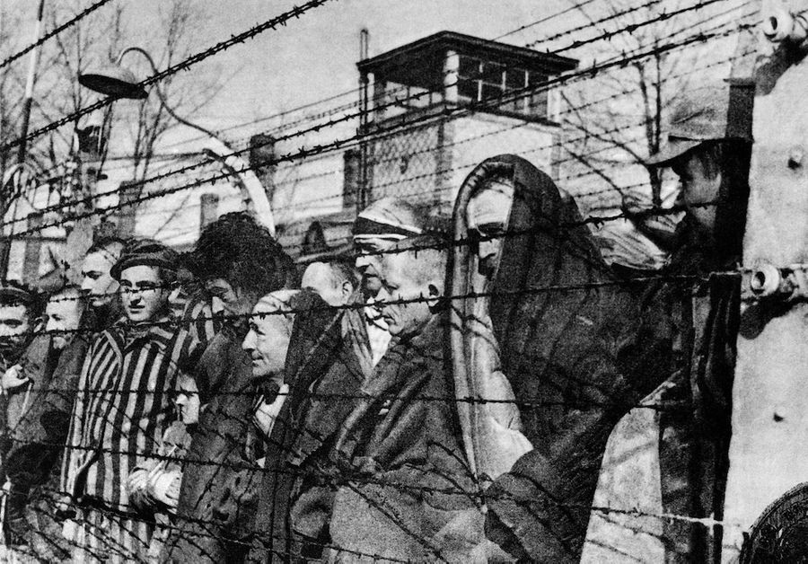 Узники Освенцима. Фото © ТАСС / Б. Борисов