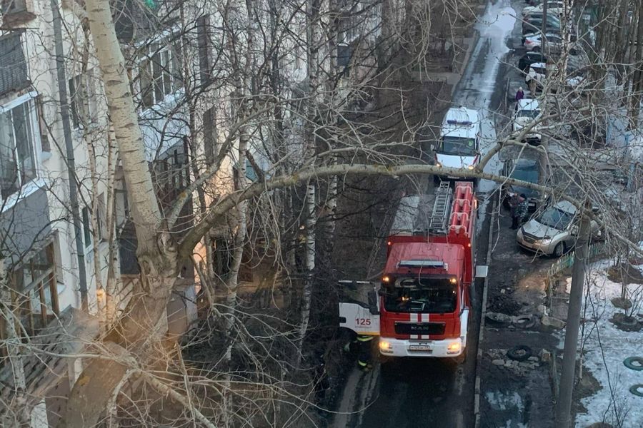 Фото © "ВКонтакте" / Жесть Поморья