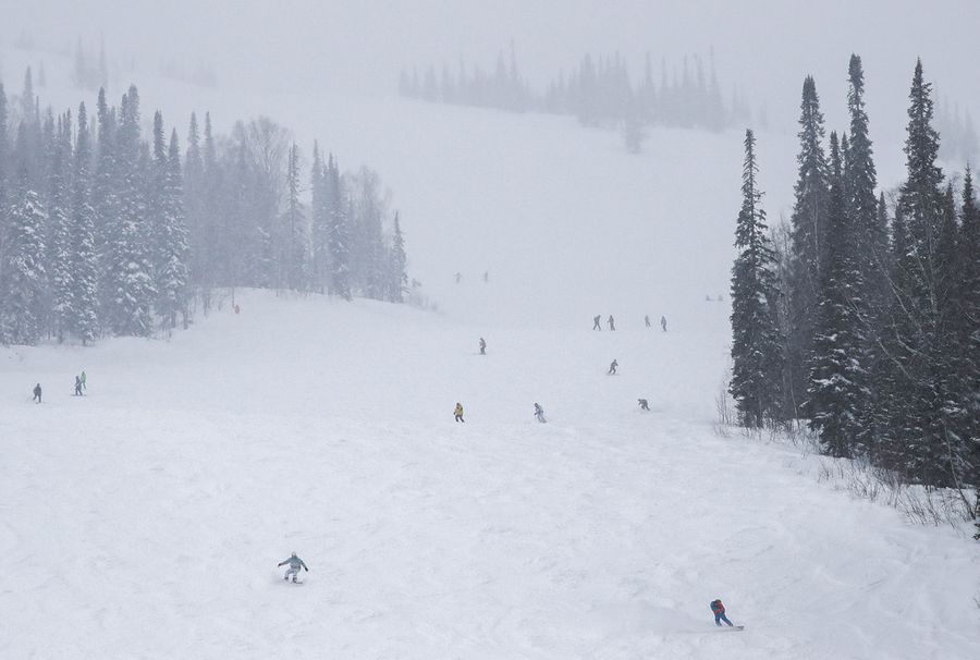 Лыжники и сноубордисты на одном из склонов горнолыжного курорта "Шерегеш" (архив). Фото © ТАСС / Кирилл Кухмарь