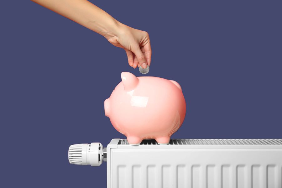 Фото © shutterstock