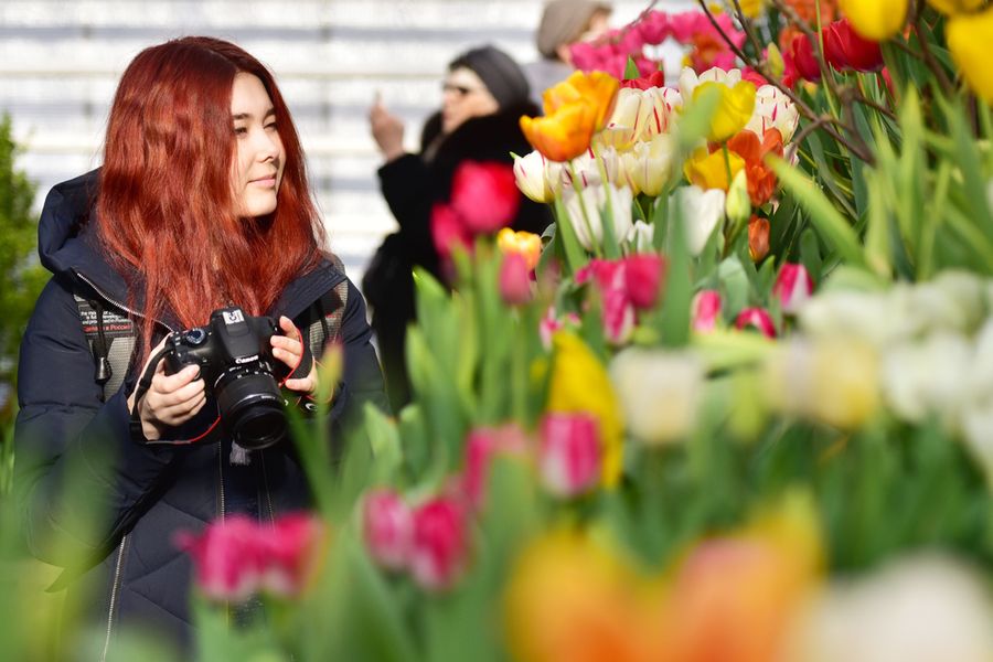 Выставка цветов в Ботаническом саду в Москве. Фото © ТАСС / Василий Кузьмиченок