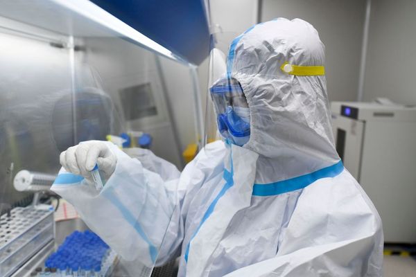В Нидерландах зафиксировали первый случай смерти от коронавируса