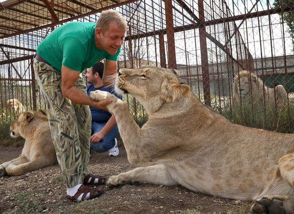 Директор крымского "Тайгана" рассказал Лайфу, когда откроется парк