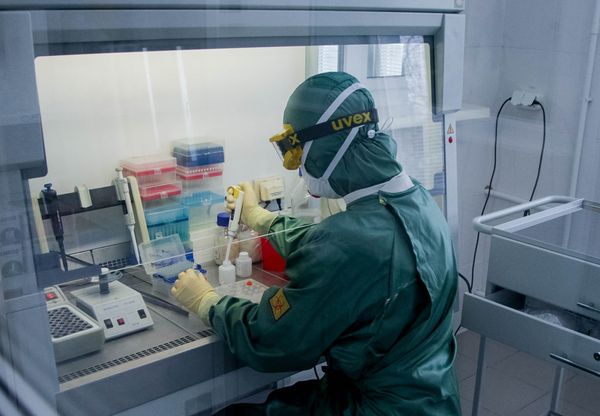 Российские разработчики вакцины от коронавируса рассказали, когда она появится
