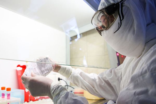 В России зарегистрировали новый случай коронавируса