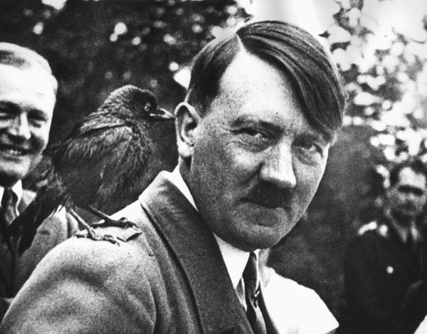 Историк рассказал, как и где были найдены останки Гитлера