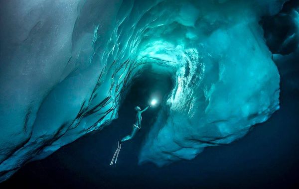 Что же кроется под верхушкой айсберга: 10 потрясающих фото, сделанных дайверами при температуре –27