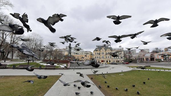 Воздух в Москве стал в пять раз чище. Полезные свойства коронавируса
