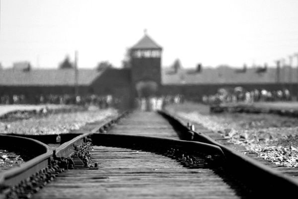 Германия предложила ЕС считать преступлением отрицание холокоста