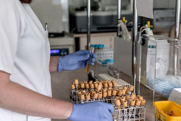 Учёные начали испытание сыворотки от коронавируса на людях
