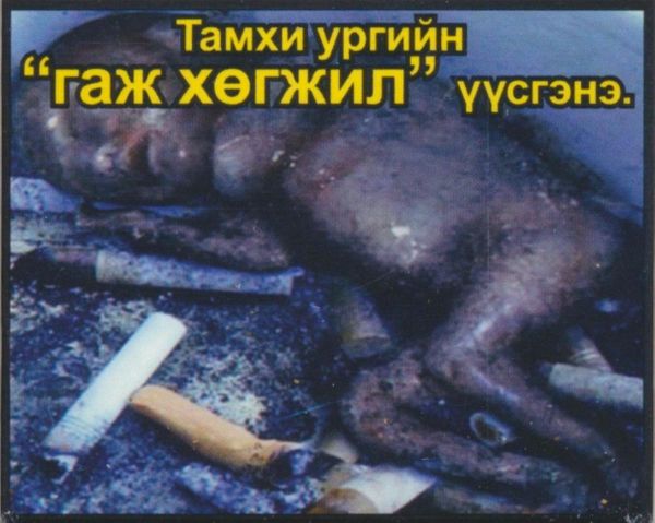 Одна из самых жутких сигаретных пачек в Монголии. Надпись говорит об угрозе беременным