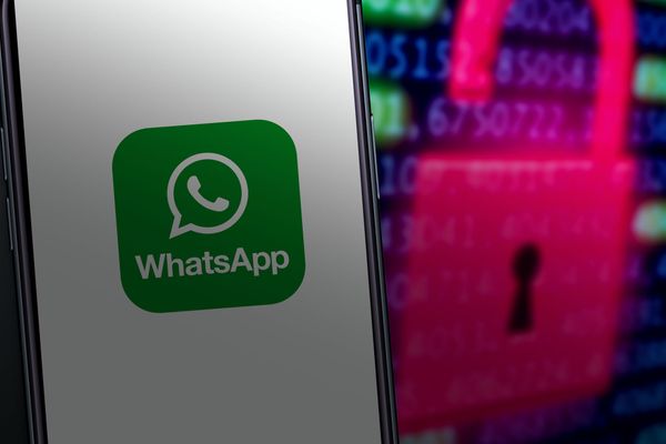 Как не получить вирус и не лишиться всех данных через WhatsApp. 4 простых совета