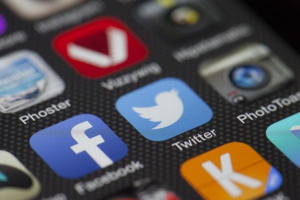 В Совфеде назвали Twitter политическим фильтром, формирующим сознание пользователей