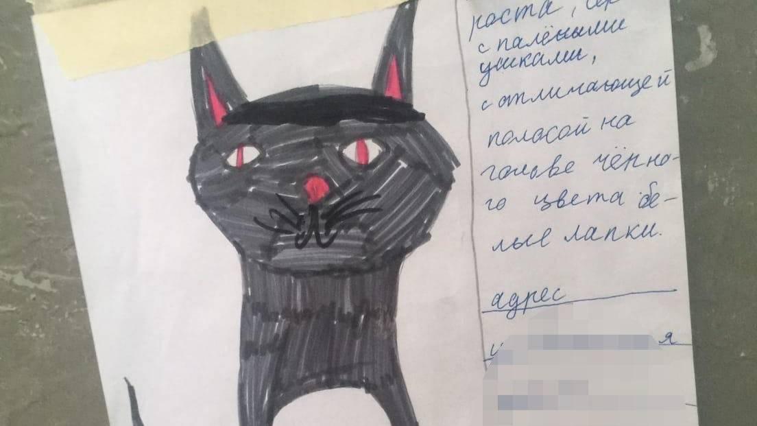 Девочка из Балашихи нарисовала самый милый фоторобот на свете, помогая соседям найти пропавшего кота