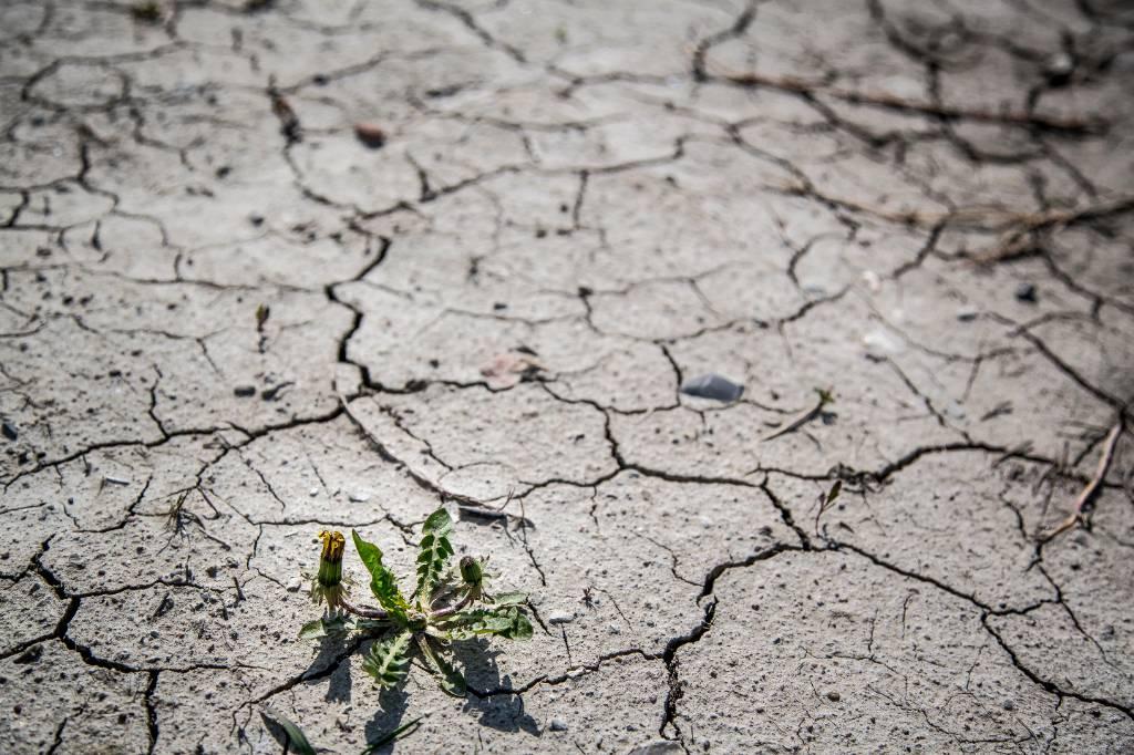 Учёные предрекли катастрофическую жару на Земле через 30 лет