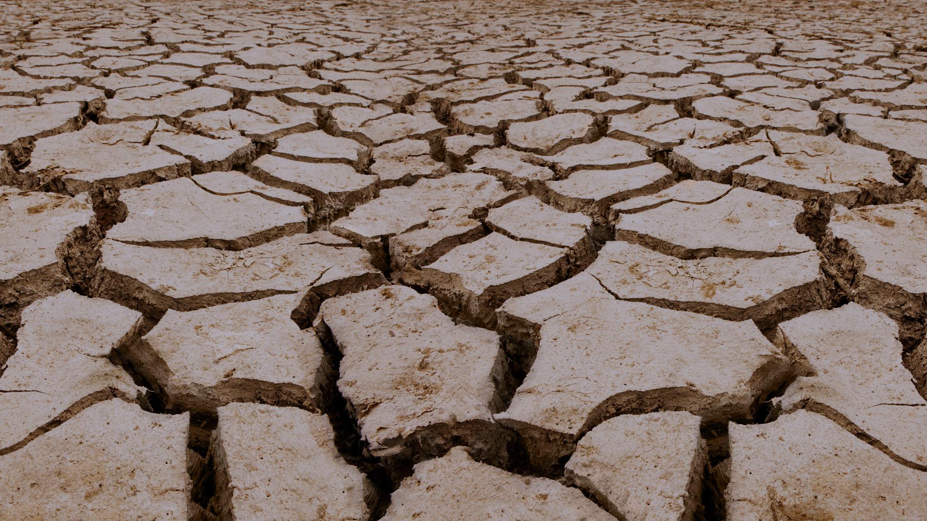 Засуха значение. Засуха урожай. Засуха Джек. Пустыня засуха на прозрачном фоне для детей. Засуха Узбекистан.